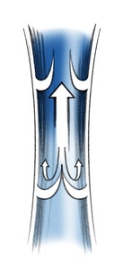 gesunde venen