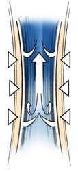 Blutzirkulation in Venen durch Kompression